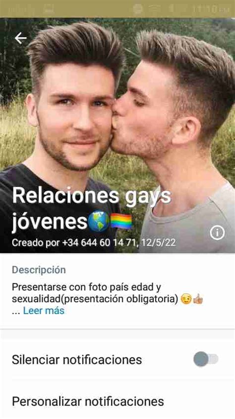 grupos de whatsapp gays|Grupos de WhatsApp relacionados a LGBT